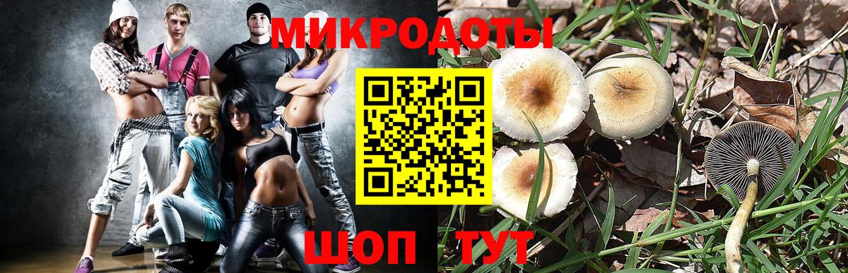 Галлюциногенные грибы Magic Shrooms  Вход с VPN  Дзержинск 